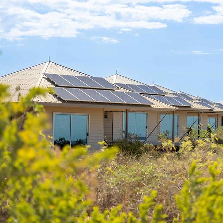 Eco Beach Wilderness Retreat Broome Kültér fotó